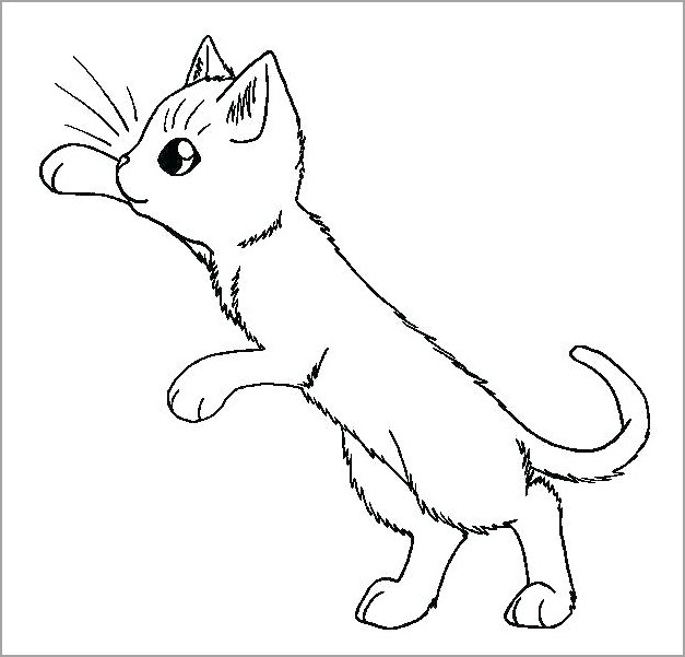 Tuyển tập những bức tranh tô màu con mèo dễ thương nhất cho bé - Phú Long  Blog
